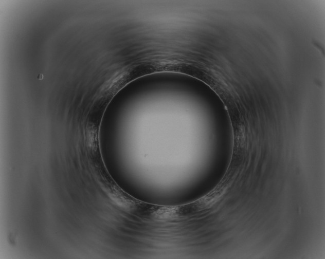 X0000093110138200709261258