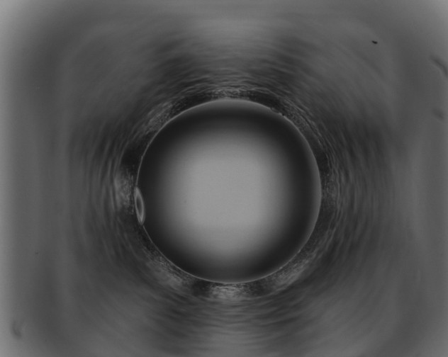 X0000093110139200709261258