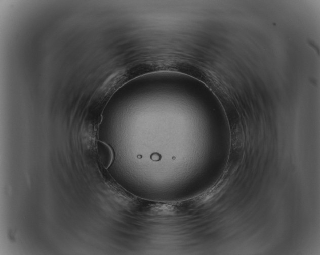 X0000093110140200709261258