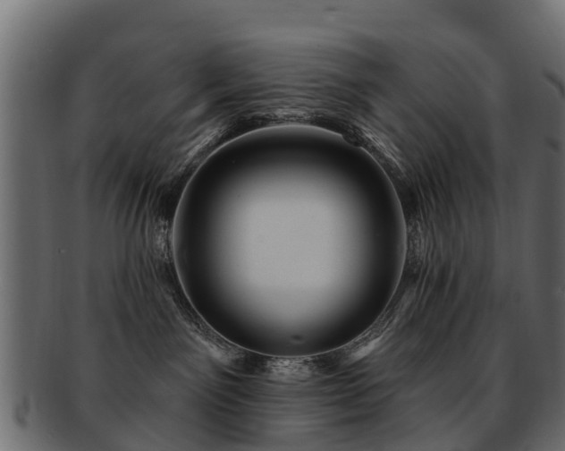 X0000093110141200709261258