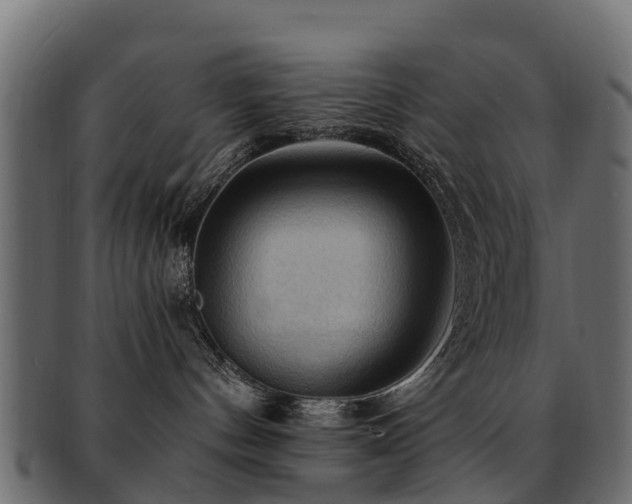 X0000093110144200709261258