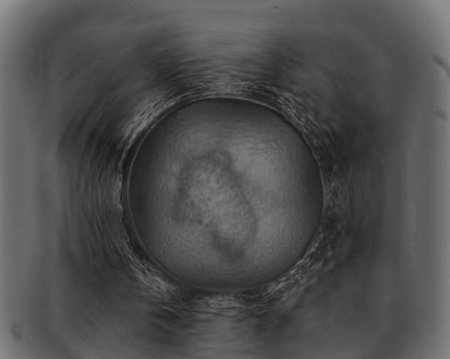 X0000093110146200709261257
