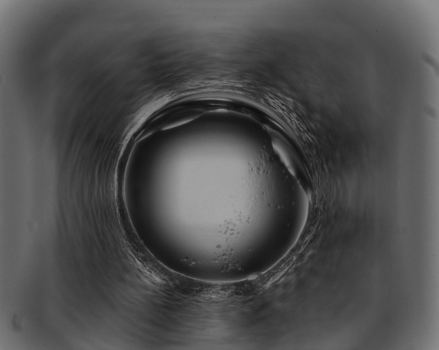 X0000093110148200709261257