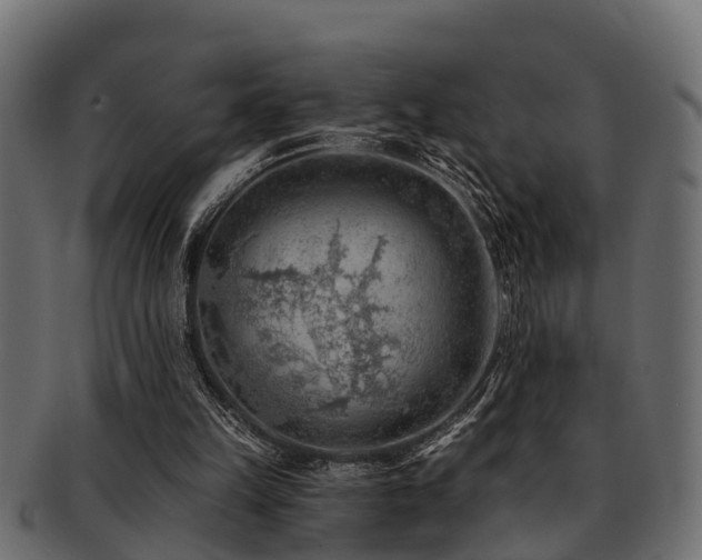 X0000093110149200709261257