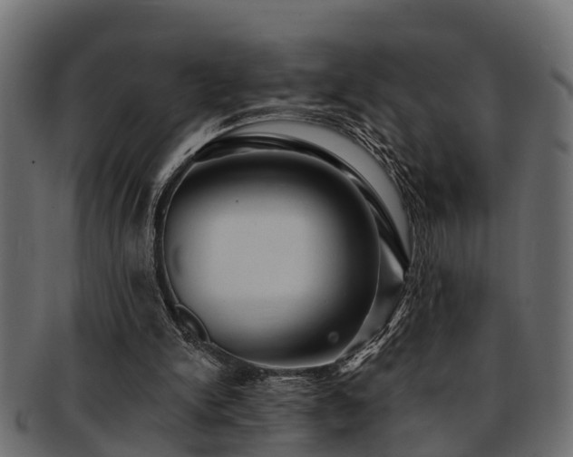 X0000093110150200709261257