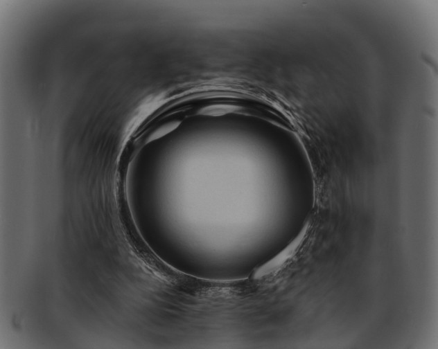 X0000093110152200709261257