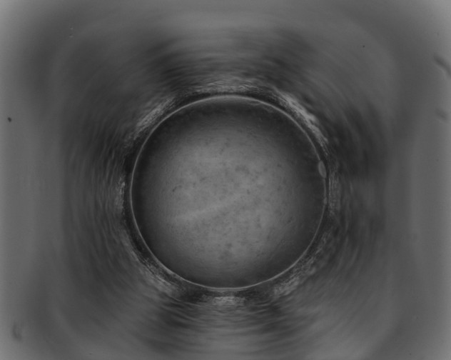 X0000093110153200709261257