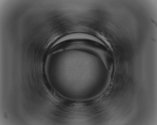 X0000093110154200709261257
