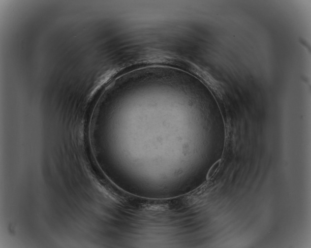 X0000093110155200709261257