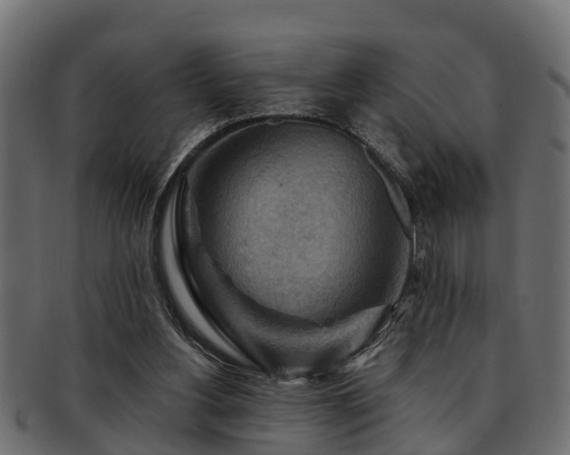 X0000093110156200709261257