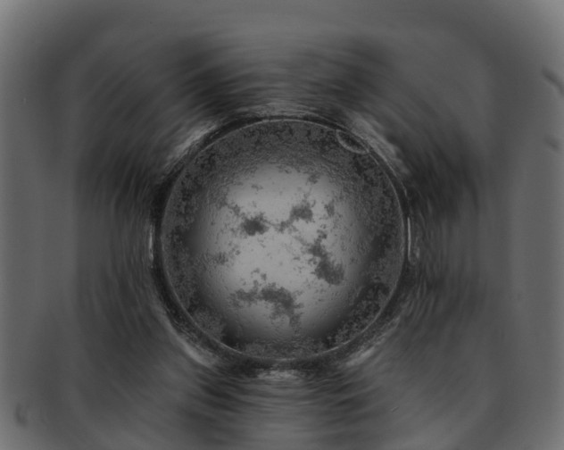 X0000093110157200709261257