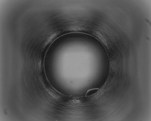X0000093110159200709261257