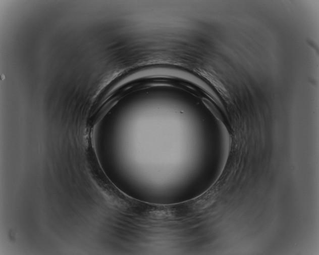 X0000093110160200709261257
