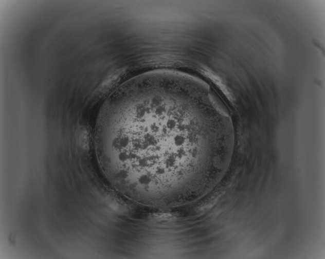 X0000093110161200709261257