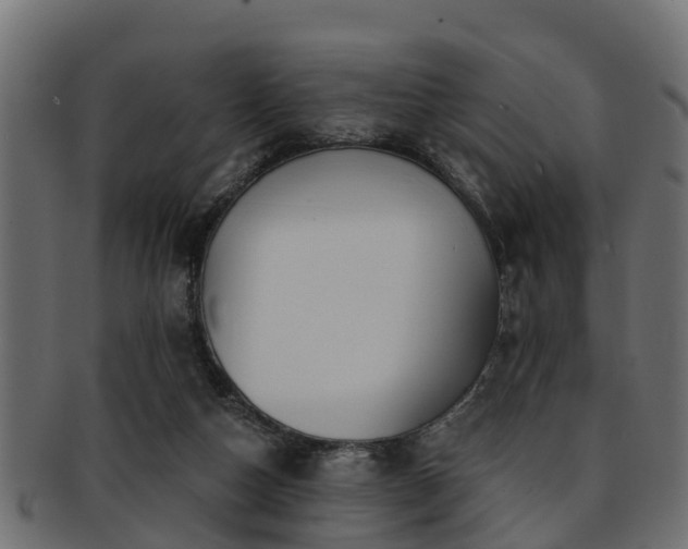 X0000093110162200709261257