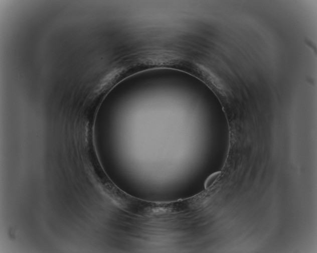 X0000093110163200709261257