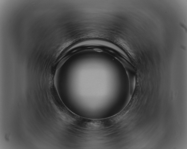 X0000093110164200709261257