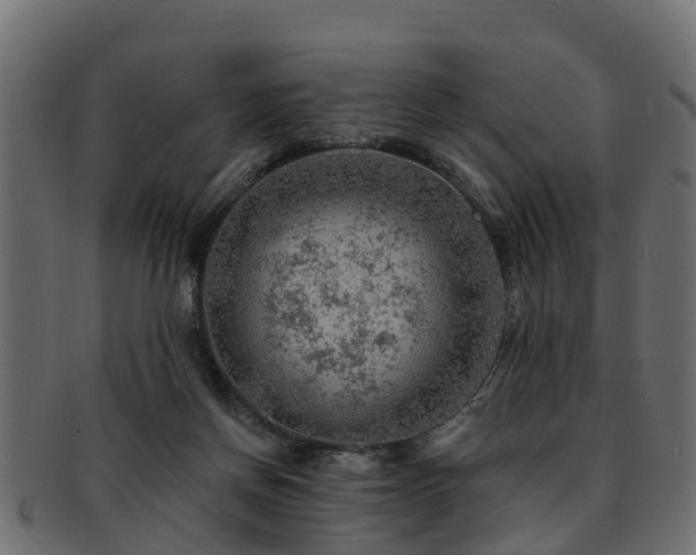 X0000093110166200709261257