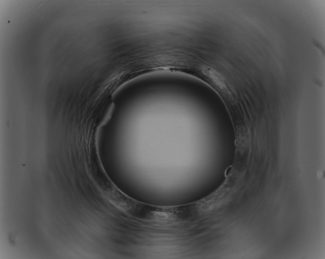 X0000093110167200709261257