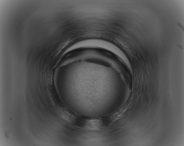 X0000093110168200709261257