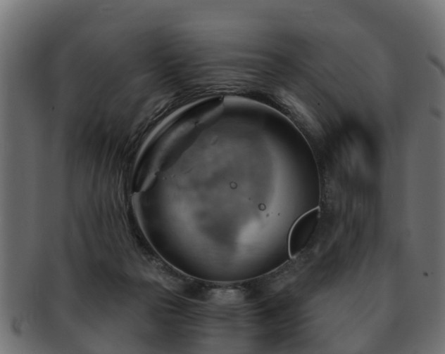 X0000093110169200709261257