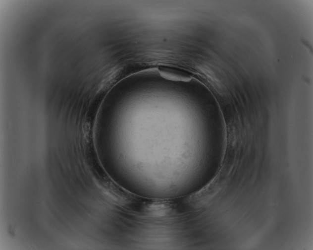 X0000093110171200709261257