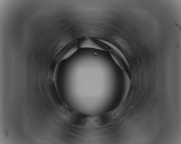 X0000093110172200709261257