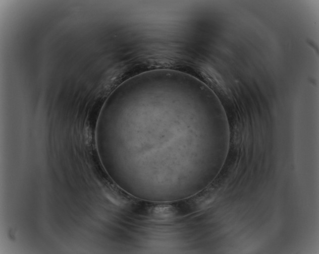 X0000093110173200709261257