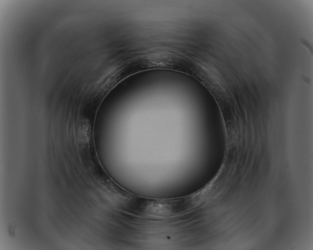 X0000093110174200709261257