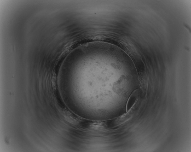 X0000093110175200709261257
