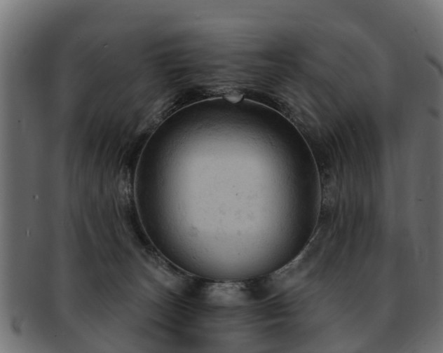 X0000093110179200709261258