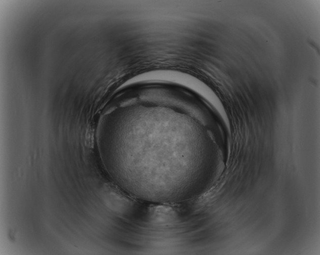 X0000093110180200709261258