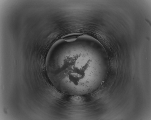 X0000093110181200709261258