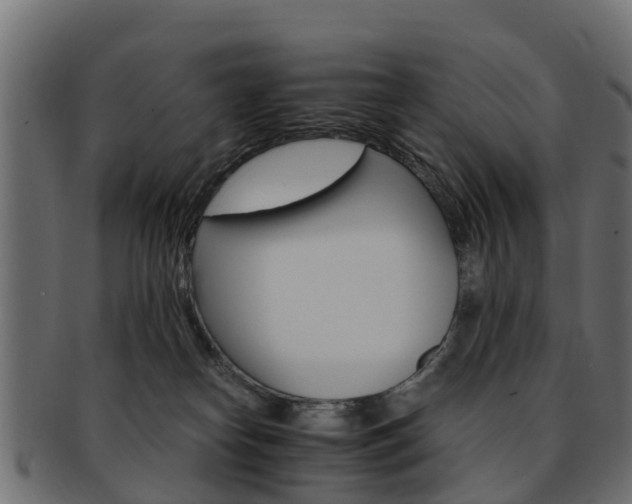X0000093110182200709261258