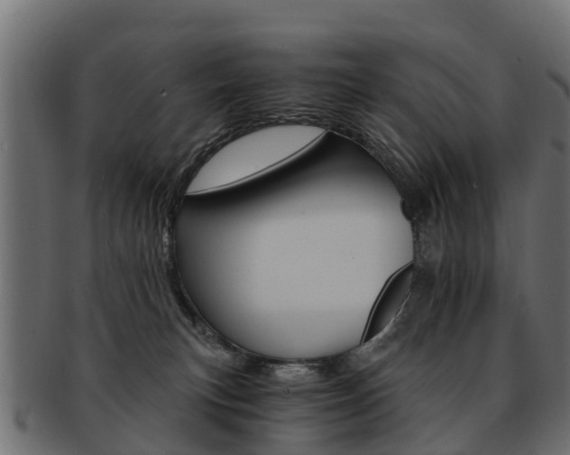 X0000093110183200709261258