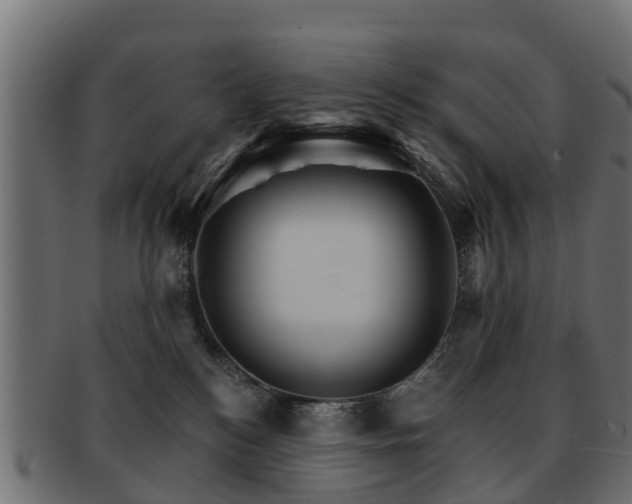X0000093110184200709261258