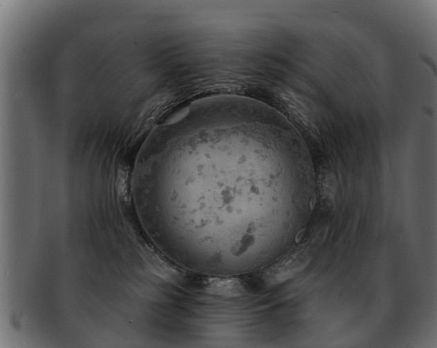 X0000093110185200709261258