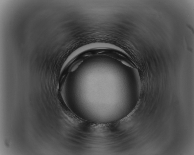 X0000093110186200709261258