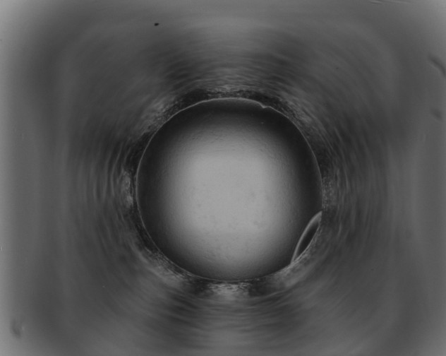 X0000093110187200709261258
