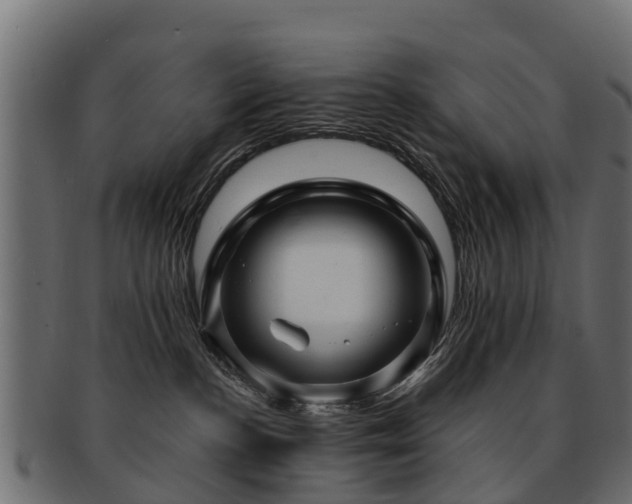X0000093110188200709261258