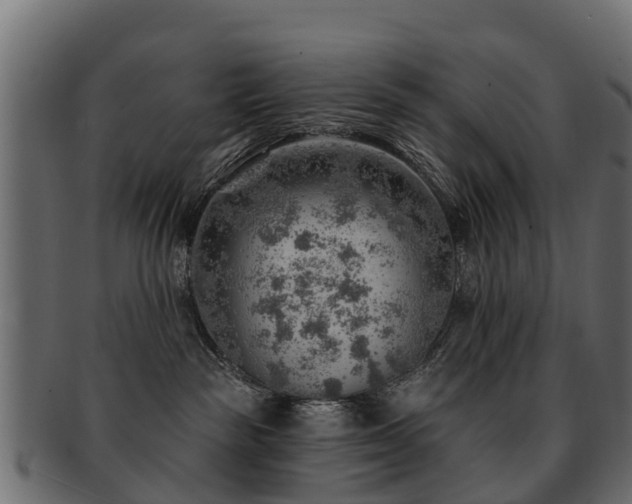 X0000093110189200709261258