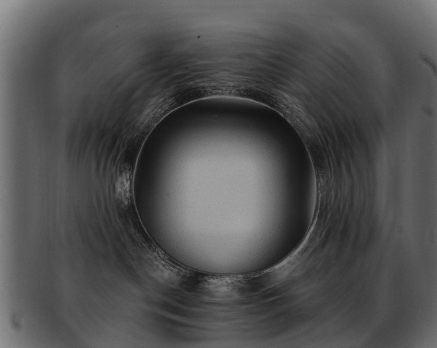 X0000093110190200709261258