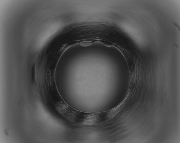 X0000093110191200709261258