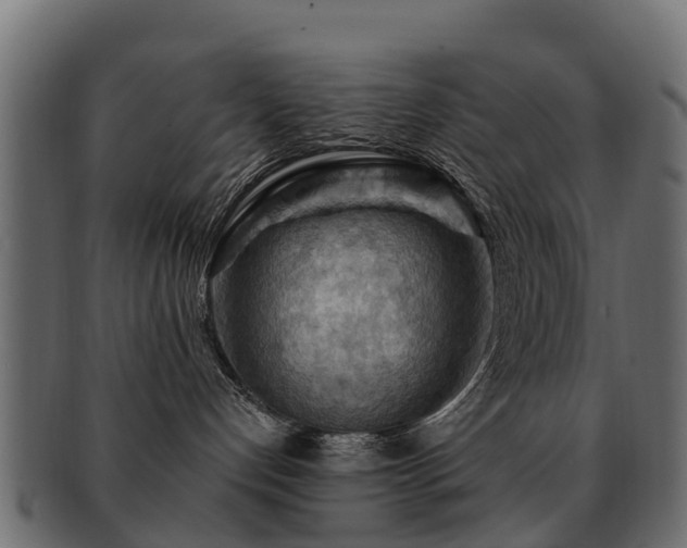 X0000093110192200709261258