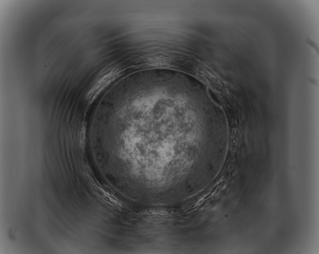 X0000093110194200709261257