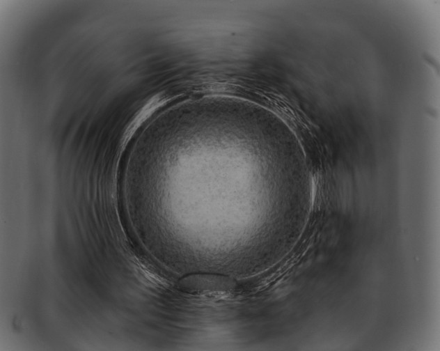 X0000093110195200709261257