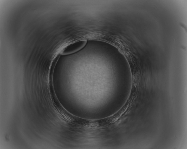 X0000093110196200709261257