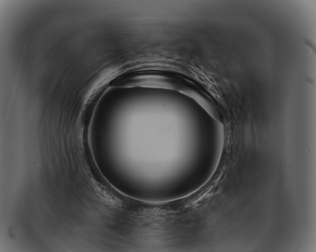 X0000093110197200709261257