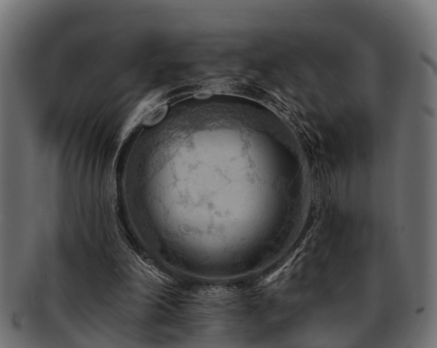 X0000093110198200709261257