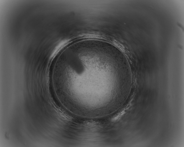 X0000093110199200709261257